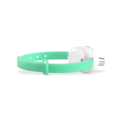 JUGUETE COLLAR PUNTERO LASER GATO - Image 6