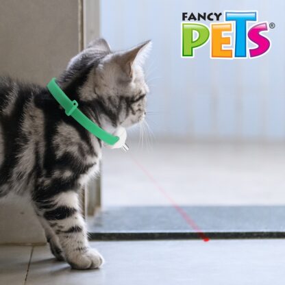 JUGUETE COLLAR PUNTERO LASER GATO - Image 4