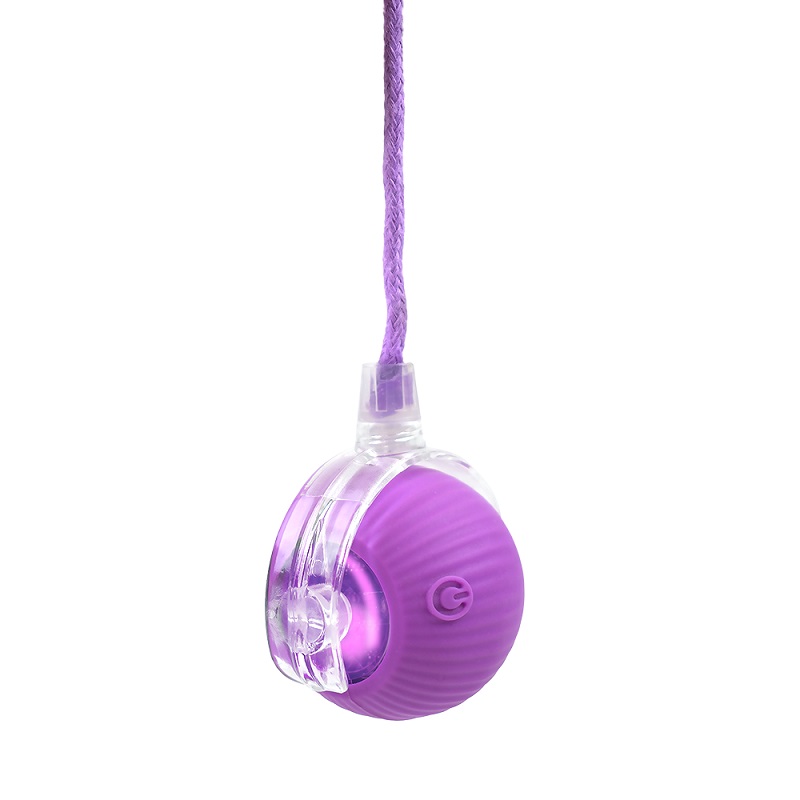 PELOTA CRAZY GATO C/LUZ Y MOVIMIENTO. - Image 10