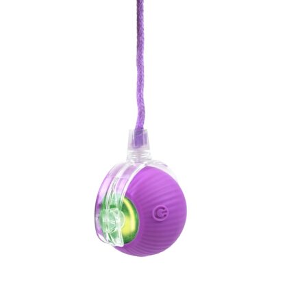PELOTA CRAZY GATO C/LUZ Y MOVIMIENTO. - Image 11