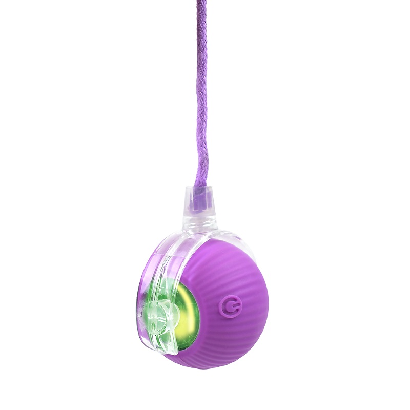 PELOTA CRAZY GATO C/LUZ Y MOVIMIENTO. - Image 11