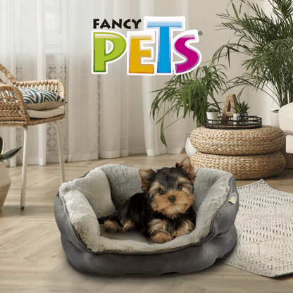 CAMA DUMMY. - Image 2