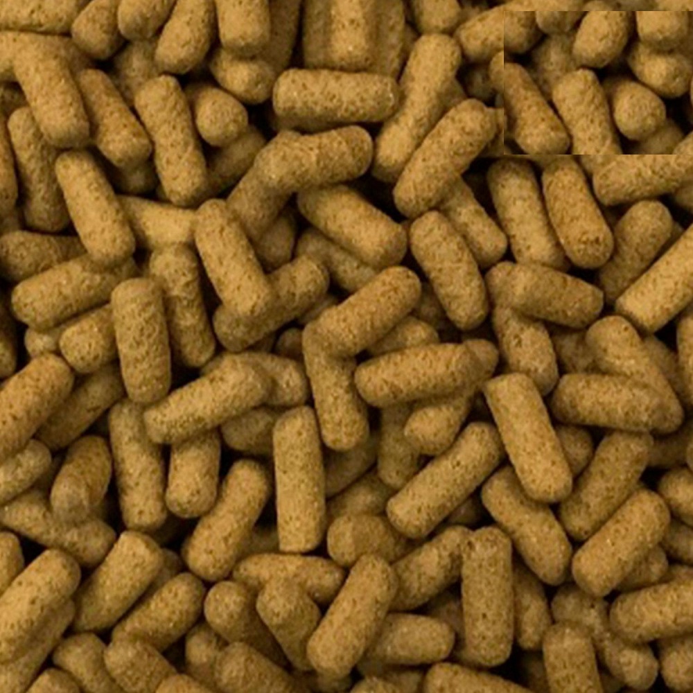 Nutri stick desodorizantes para tortugas juveniles 1 kg - Image 2