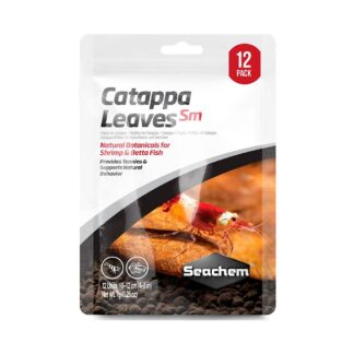 Catappa Leaves Small 12 piezas.