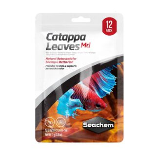 Catappa Leaves Medium 12 piezas.