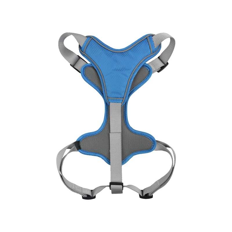 SET ARNES Y CORREA TRENDY CH AZUL. - Image 4