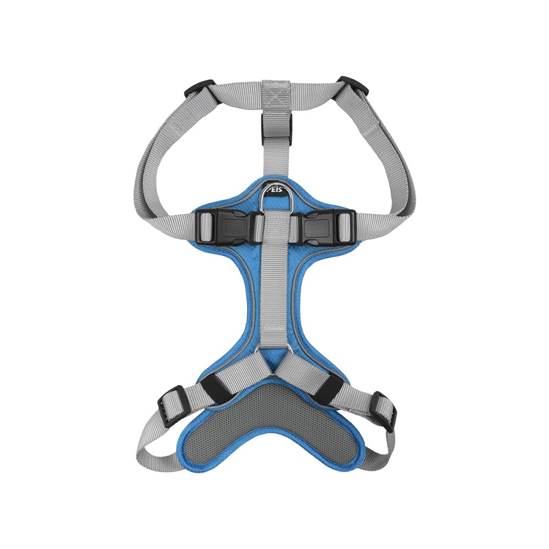 SET ARNES Y CORREA TRENDY CH AZUL. - Image 5