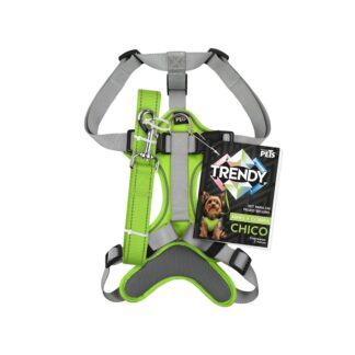 SET ARNES Y CORREA TRENDY CH VERDE.