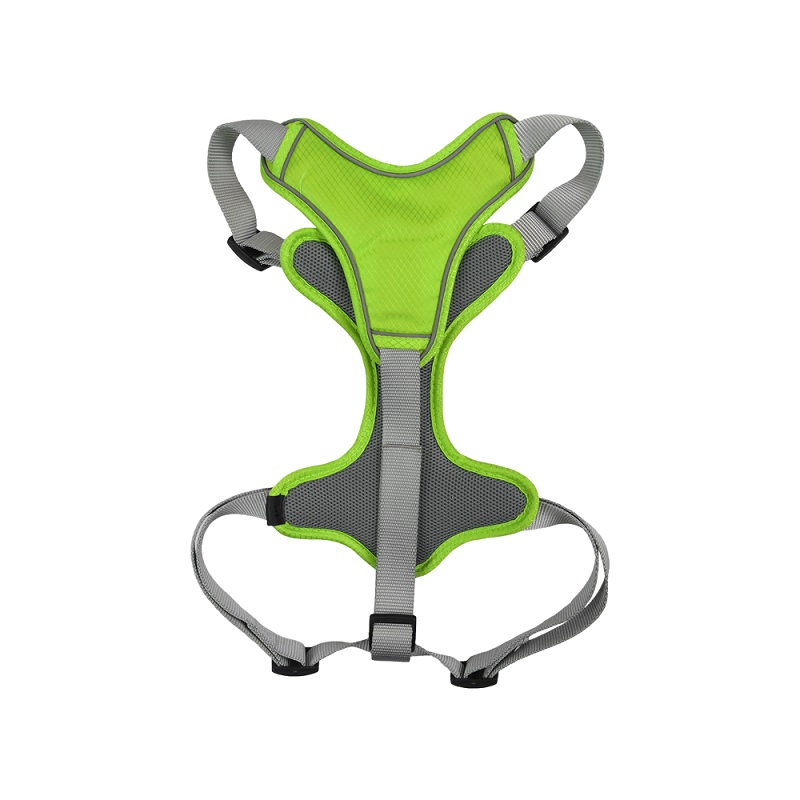 SET ARNES Y CORREA TRENDY CH VERDE. - Image 3