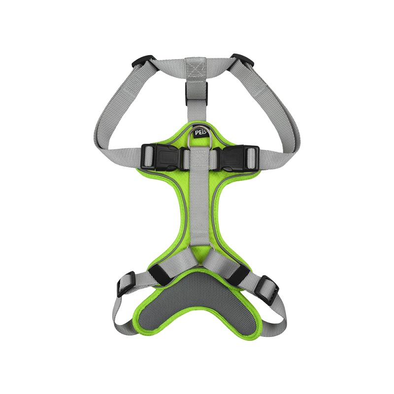 SET ARNES Y CORREA TRENDY CH VERDE. - Image 4