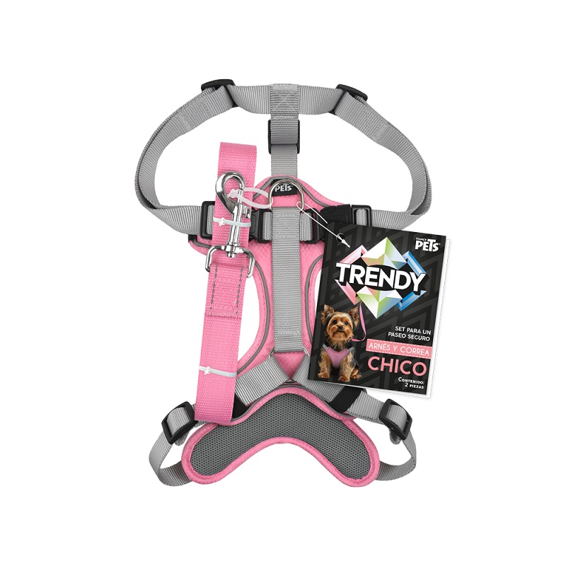 SET ARNES Y CORREA TRENDY CH ROSA