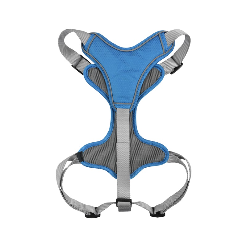 SET ARNES Y CORREA TRENDY MED AZUL. - Image 3