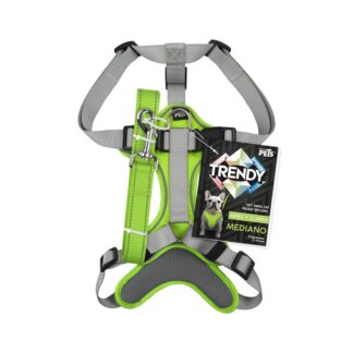 SET ARNES Y CORREA TRENDY MED VERDE.