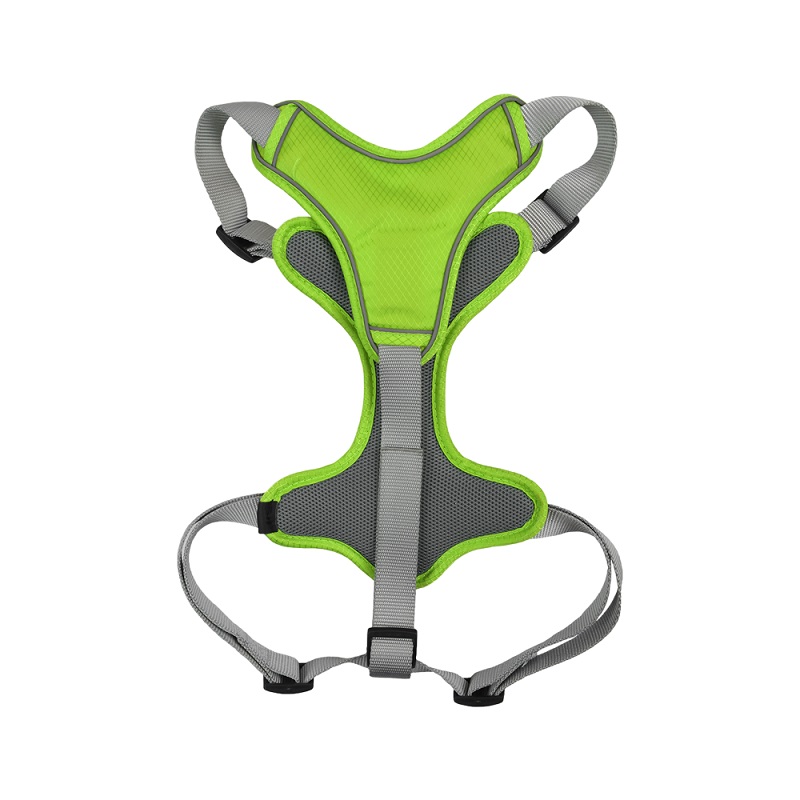 SET ARNES Y CORREA TRENDY MED VERDE. - Image 2