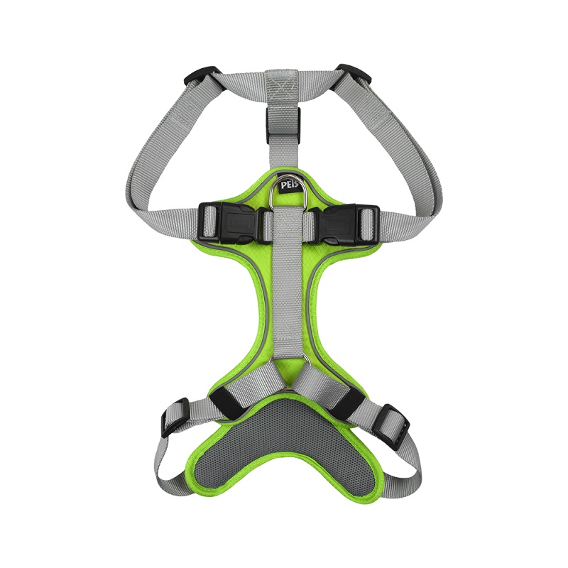 SET ARNES Y CORREA TRENDY MED VERDE. - Image 3