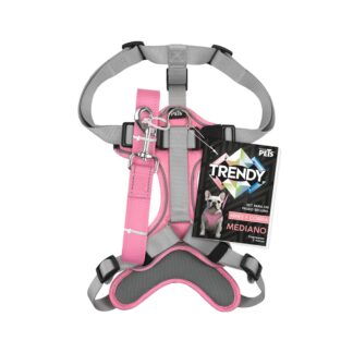 SET ARNES Y CORREA TRENDY MED ROSA.