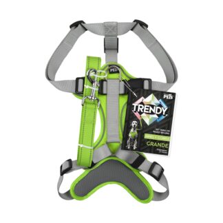 SET ARNES Y CORREA TRENDY GDE VERDE.