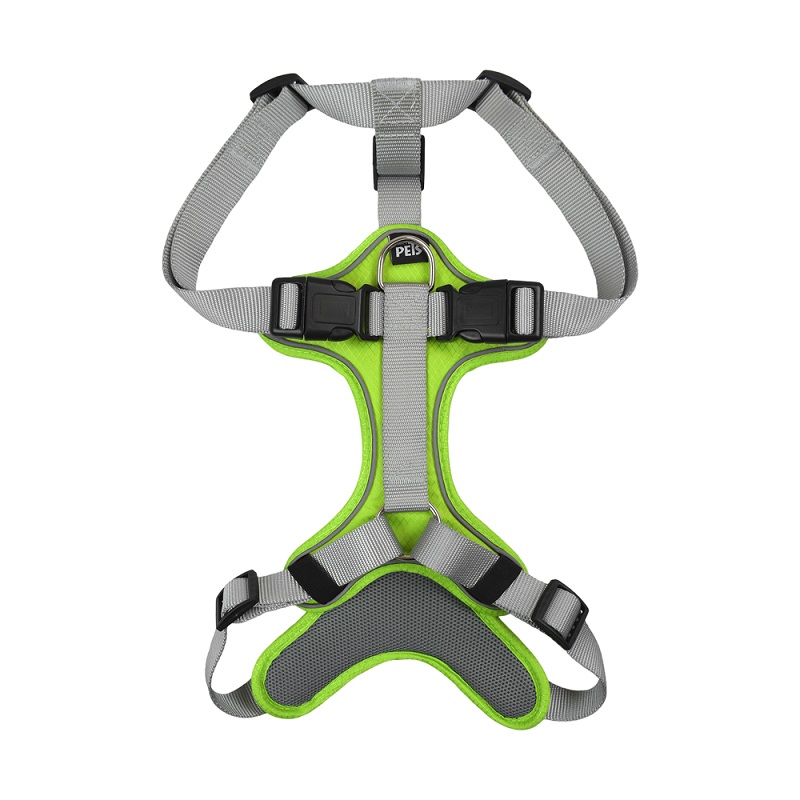 SET ARNES Y CORREA TRENDY GDE VERDE. - Image 2