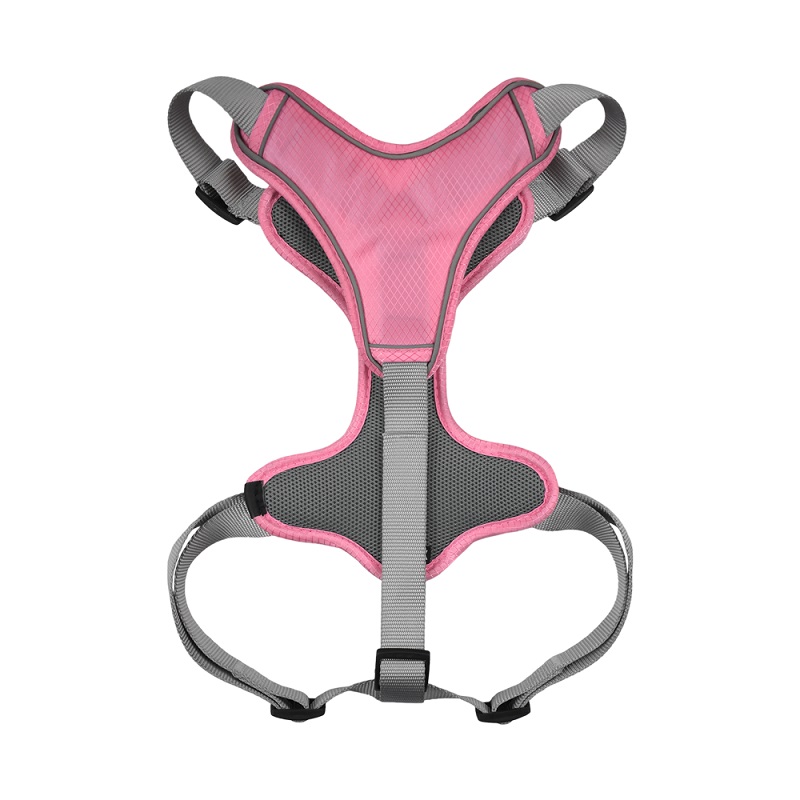 SET ARNES Y CORREA TRENDY GDE ROSA. - Image 2