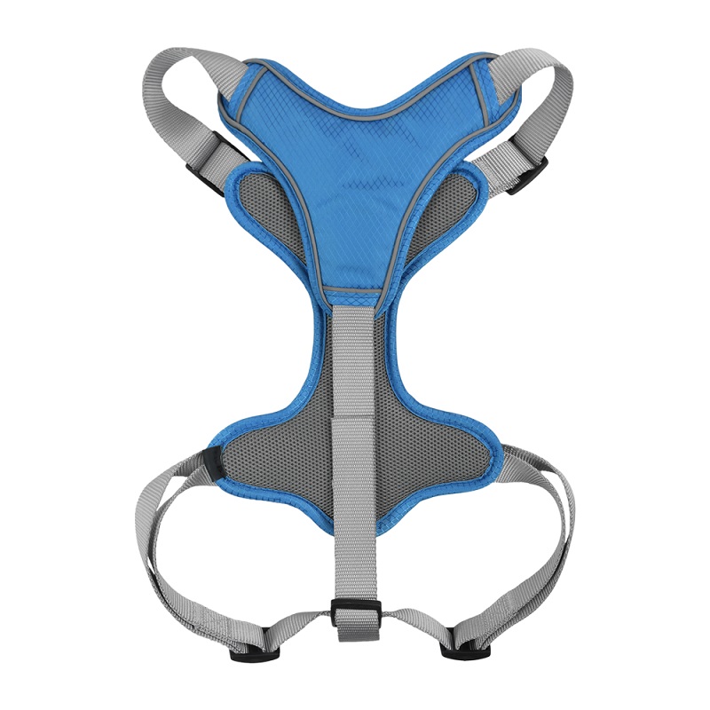 SET ARNES Y CORREA TRENDY XGDE AZUL. - Image 2