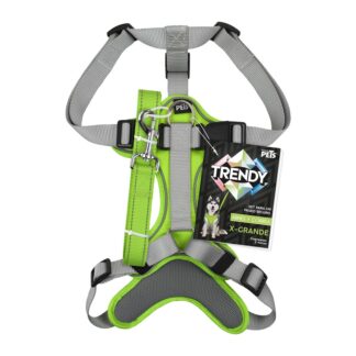 SET ARNES Y CORREA TRENDY XGDE VERDE.