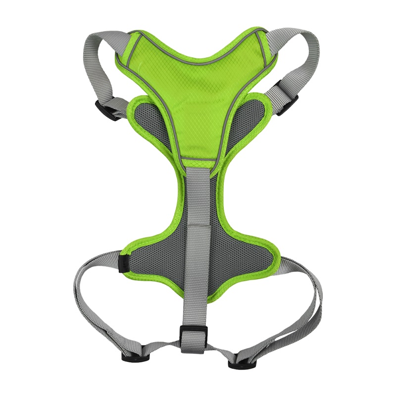 SET ARNES Y CORREA TRENDY XGDE VERDE. - Image 2