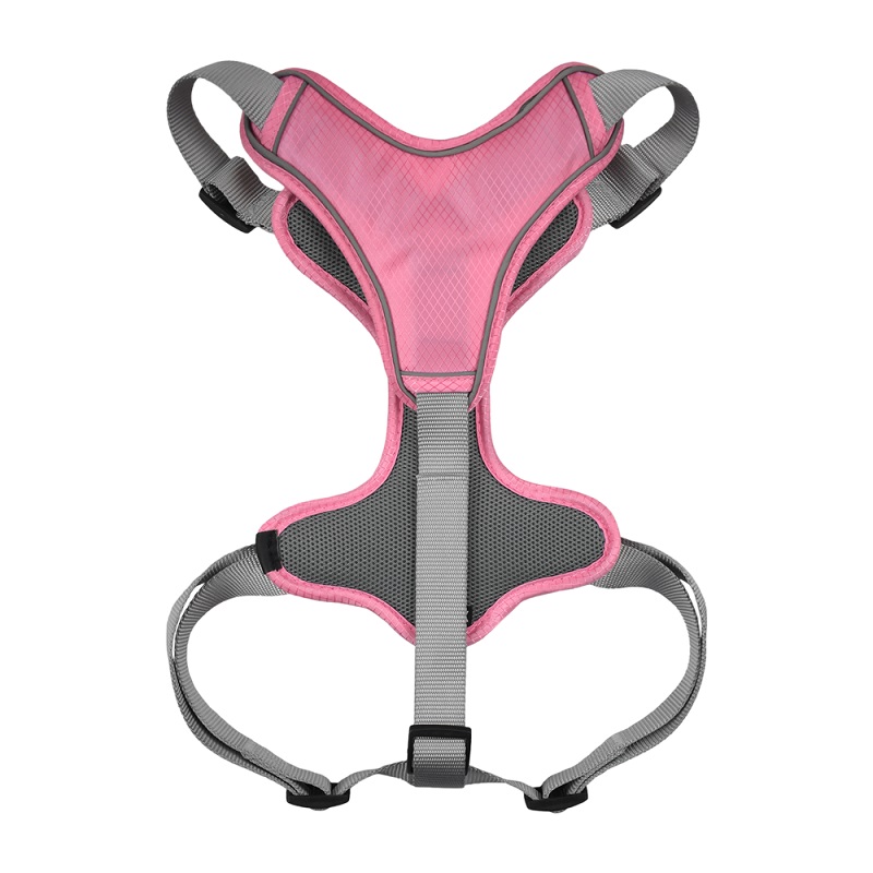 SET ARNES Y CORREA TRENDY XGDE ROSA. - Image 3