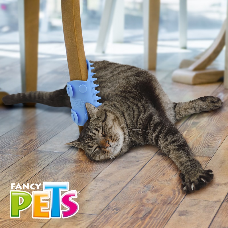 CEPILLO RASCADOR DE SILICON. - Image 2