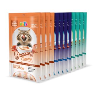 YUMMY CREAMY P/GATO SURTIDO - 12 PACK